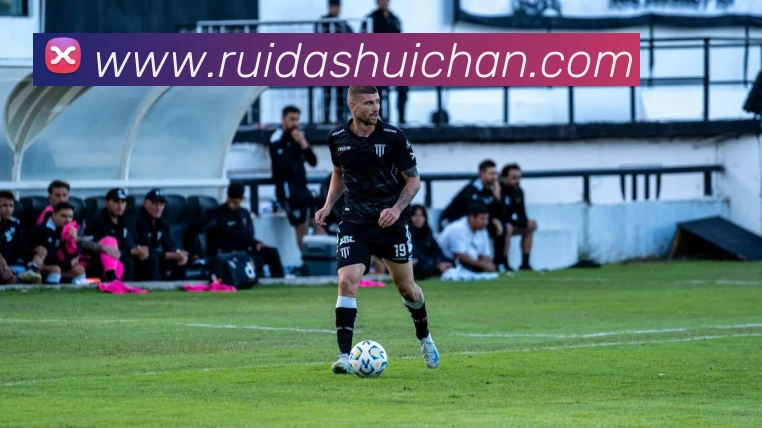 爱游戏体育平台生态图