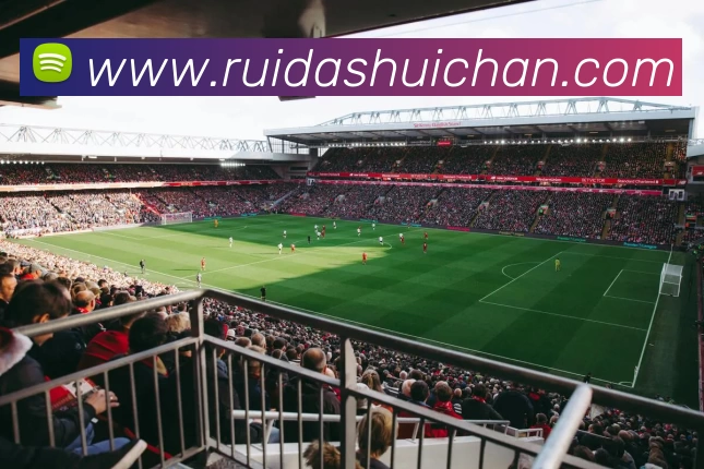 爱游戏体育APP 封面图